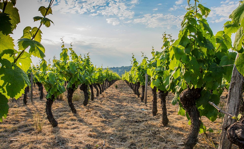 Où fait il bon vivre dans le Rhône ?